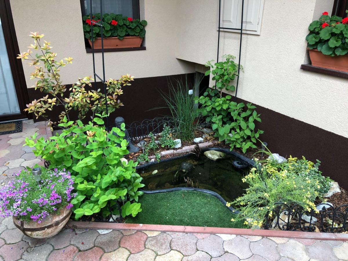 Milla Apartman Szentendre Exterior photo